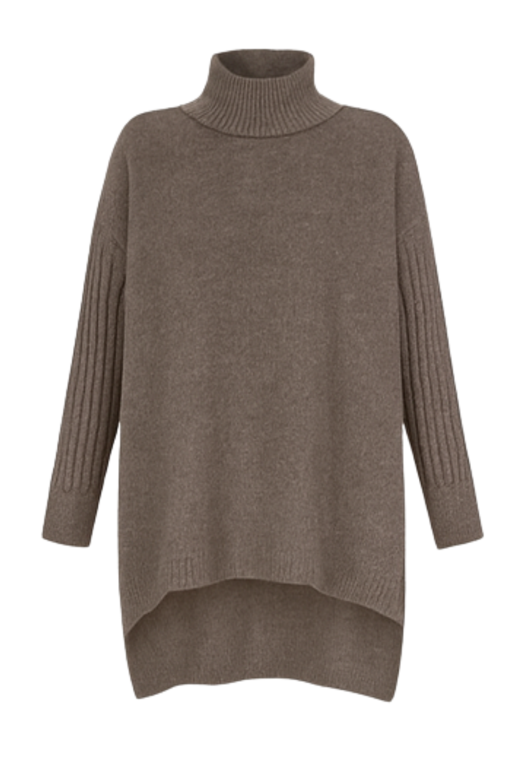 Bridgette Long Turtleneck Sweater