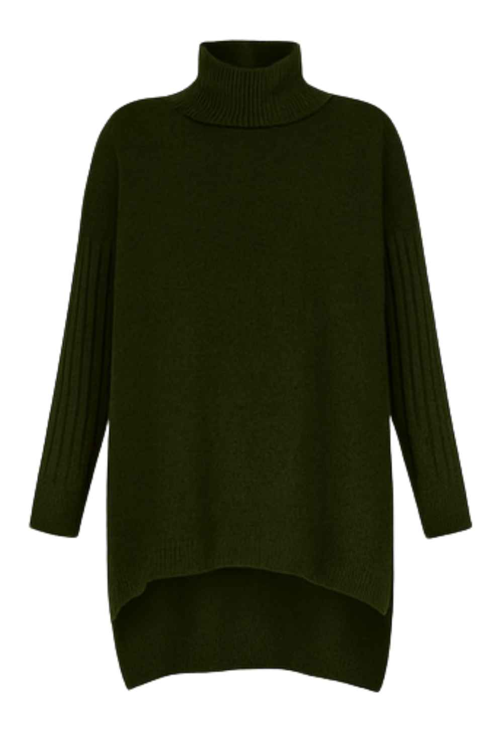 Bridgette Long Turtleneck Sweater