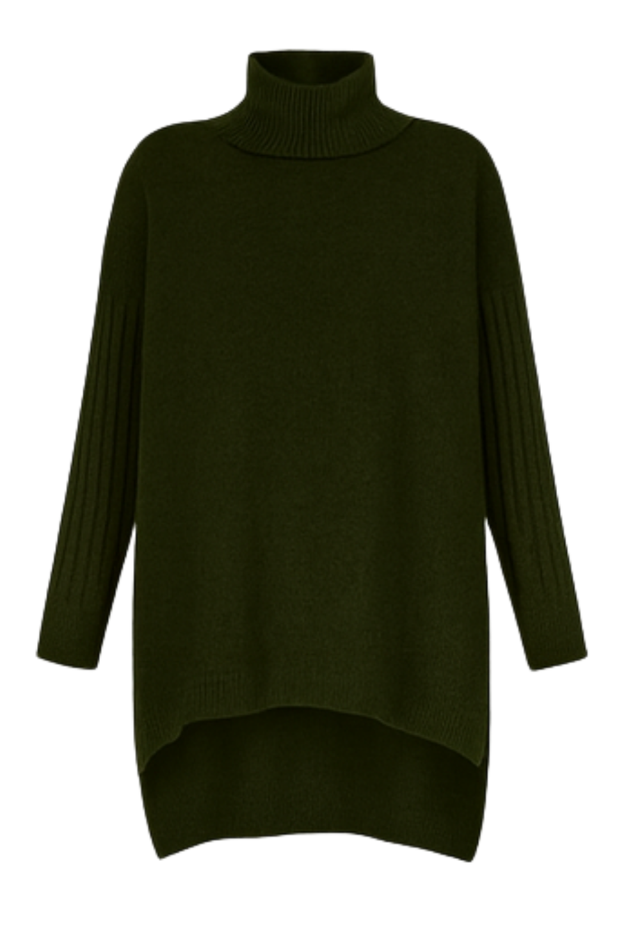 Bridgette Long Turtleneck Sweater