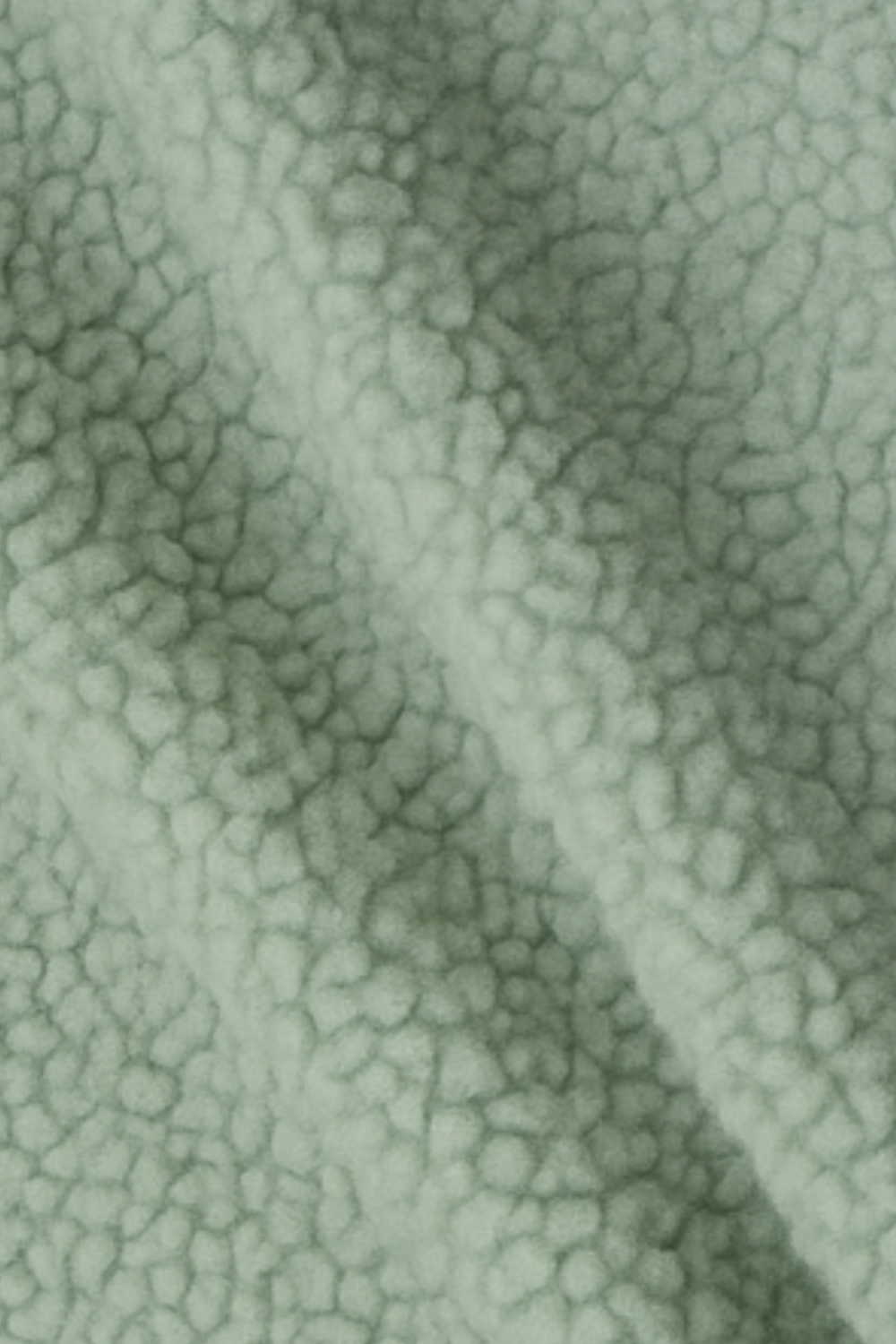 Serena Fleece Jacket in Green