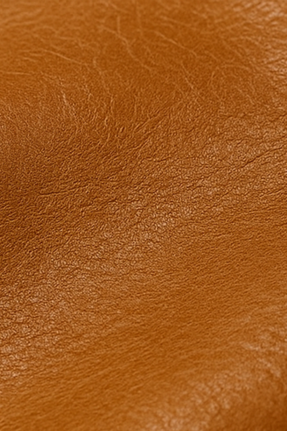 Robin Rider Leather Jacket Braun