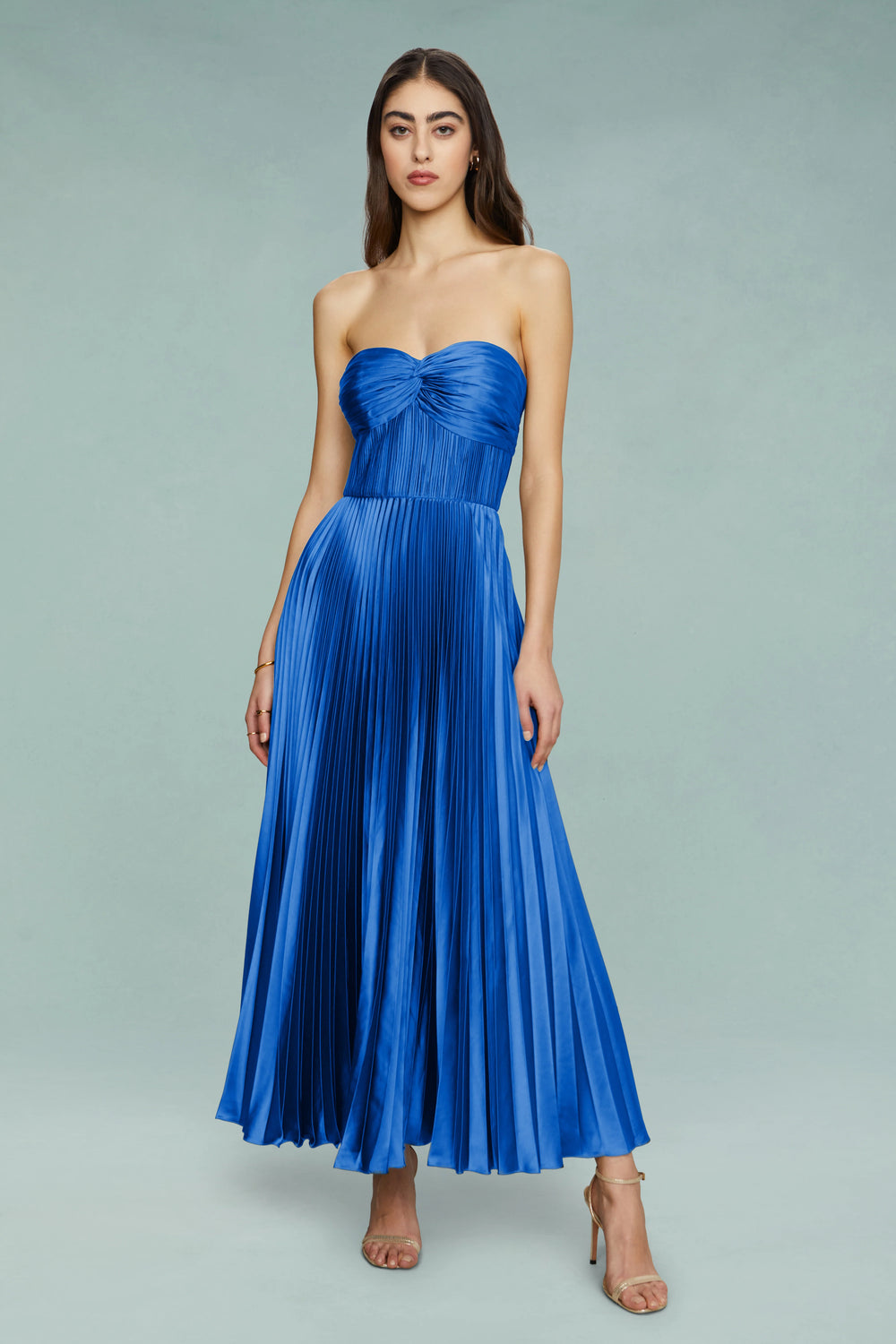Alenya Strapless Pleated Maxi Dress