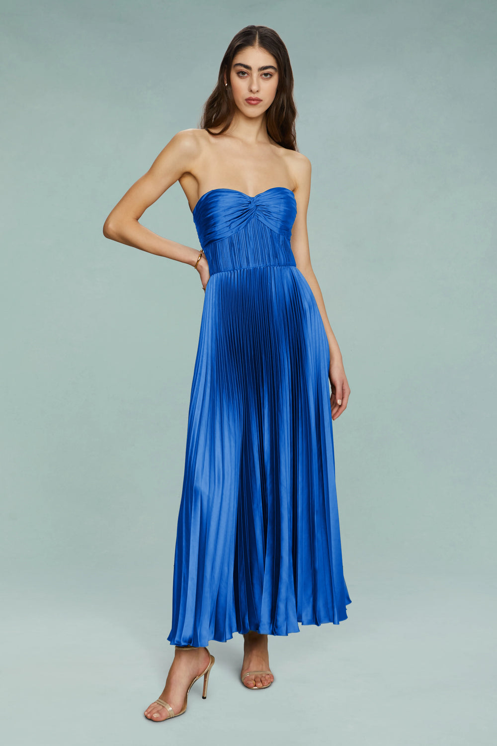 Alenya Strapless Pleated Maxi Dress