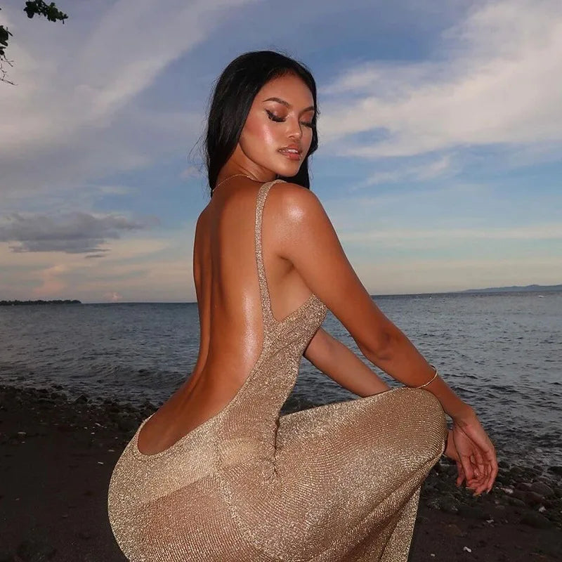 Scarlett Sexy Backless Mesh Bodycon Dress for Summer Nights
