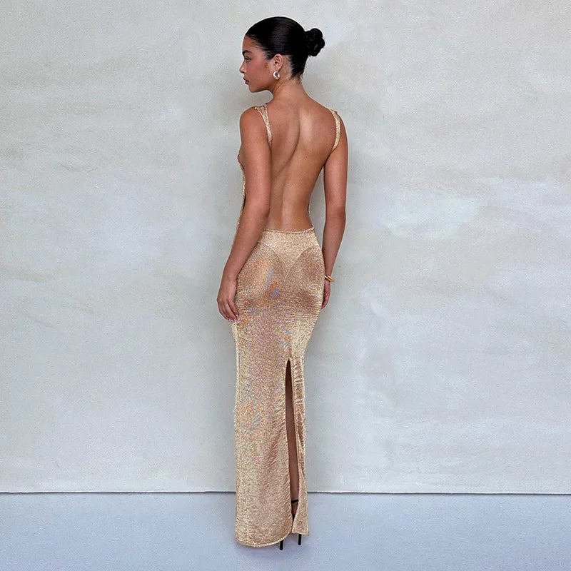 Scarlett Sexy Backless Mesh Bodycon Dress for Summer Nights